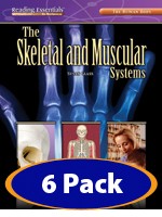 READING ESSENTIALS / SKELETAL AND MUSCULAR SYSTEMS [6-PACK]