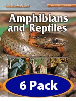 READING ESSENTIALS / AMPHIBIANS AND REPTILES [6-PACK]