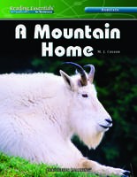 READING ESSENTIALS / MOUNTAIN HOME