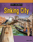 Sinking City