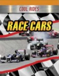 Race Cars (Class Set - 5 copies)