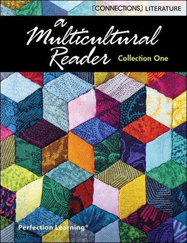 CONNECTIONS / MULTICULTURAL READER / COLLECTION ONE