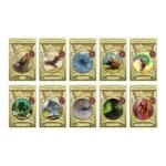 Card Set 1 (Decks 1 - 10)