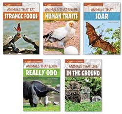 MORE IT'S ALL ANIMALS / LEVEL 1 (5 BOOK SET)