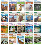 It's All Animals & More! It's All Animals